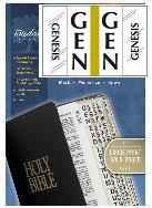Large Gold Bible Tabs
