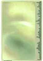 Bible Magnifier. Print to small? 6 x 9 2 times magnification magnifier with all the books of the bible listed down the side.