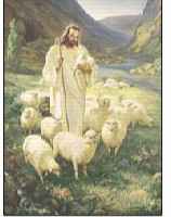 Sallman Shepherd Print  