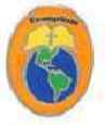Missions Lapel Pins  