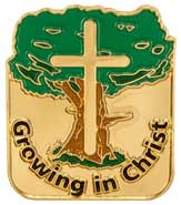 Grow in Christ Pin  