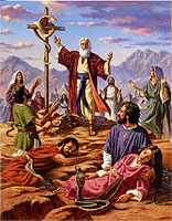 5503 Bible Poster Set