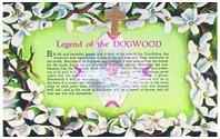 Dogwood Cross and Card