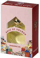 Rose of Sharon Anointing Oil for Praying