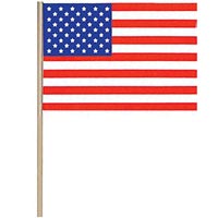 4 x 6 american flag