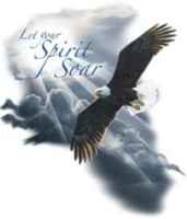 Eagle Spirit Soar T Shirt  