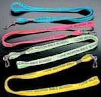VBS Vacation Bible School Badge Holder Lanyard