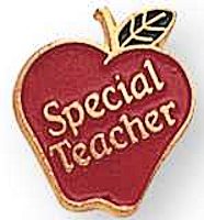 special teacher lapel pins