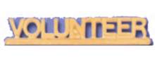 Gold Volunteer recognition pin