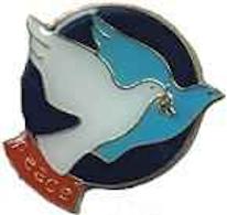 Twin Doves Peace Pin