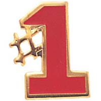 pins/1134.jpg
