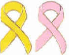 Ribbons Lapel Pins in Colors