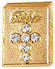 gold bible pin