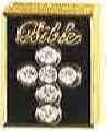 bible lapel pin