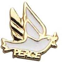 pins1/898.jpg