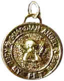 Pet Guardian Angel Tag