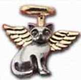 pins2/2354.jpg