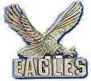 Eagles pin