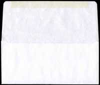 Blank Remittance Long Flap Envelope