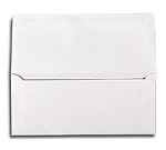 Blank Remittance Long Flap Envelope (1000)
