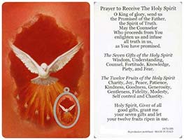 Pray to Receive Holy Spirit Holy Card W/ Dove