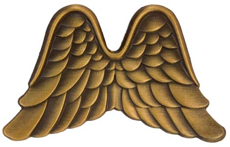 Angel Wings Pins Antique Gold