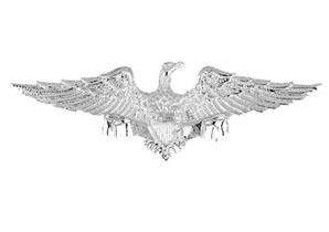 Eagle Wings Patriotic Shield Pin (Silver or Gold)