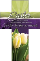 Easter Cross Bookmark For a Love Like This (Pkg of 25)