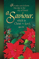 Luke 2:11 Christmas Bulletin Covers (Pkg of 100)