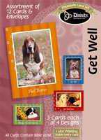 Furry Friends: Bible Verse Get Well Cards (Box of 12)