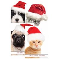 Christmas Paws Greeting Cards (Box of 12)