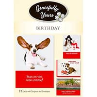 Birthday Paws for Celebration Birthday Cards