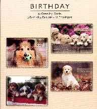 Playful Pals Birthday Boxed Cards -12 Pack