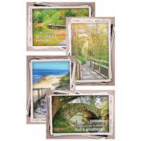Friends Friendship Greeting Cards (Box of 12)
