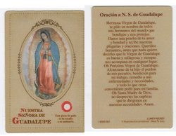 Oracion a N.S. de Guadalupe Prayer Card