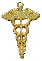 Caduceus Medicial Symbol Charm Gold