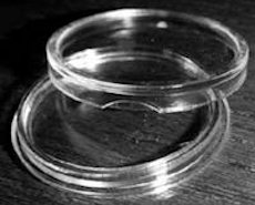 Clear Plastic Coin Display Capsules (Pkg of 12)