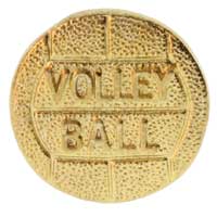 Volleyball Pin Gold