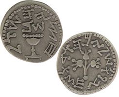 Half Shekel Coin Pewter 