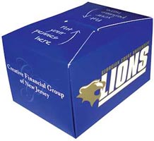 Larger Flat Custom Donation Bank Box Cardboard
