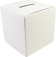 Donation Boxes Large 3 1/2  Blank Cardboard (50) White