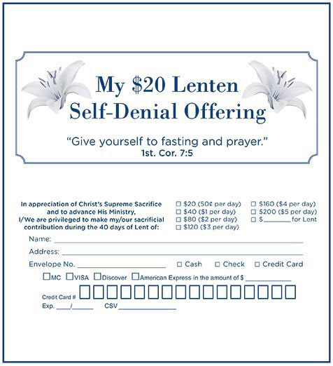 Lenten Offering Envelope for Credit Cards - Box of 500