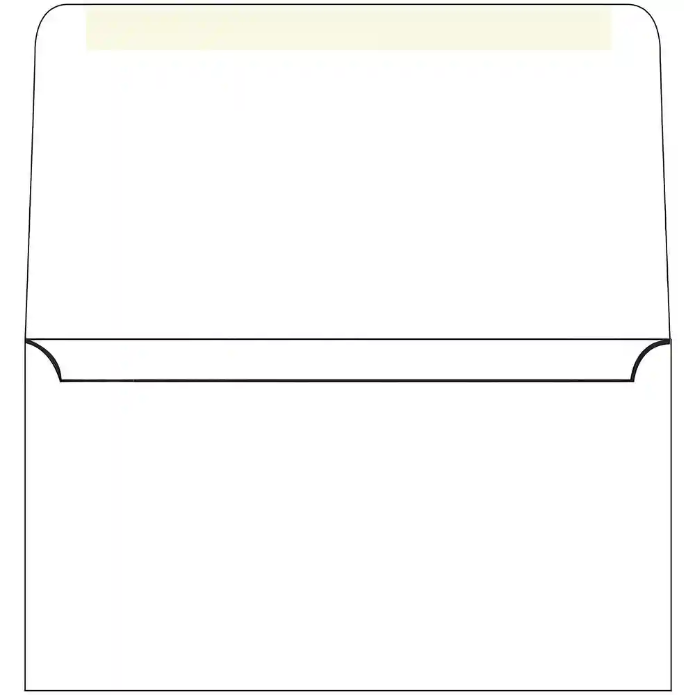 Blank 6 3/4 Remittance Envelopes Outside