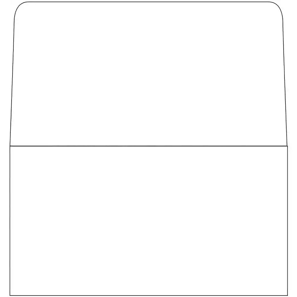 Blank 6 3/4 Remittance Envelopes Outside