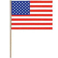 American Flag With Stick (4 x 6) Plastic 