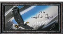 Wings of Eagles Framed Wall Plaque