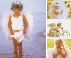 Cute Angelic Note Cards (Box of 12)