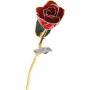 Red Rose Trimmed in 24kt Gold