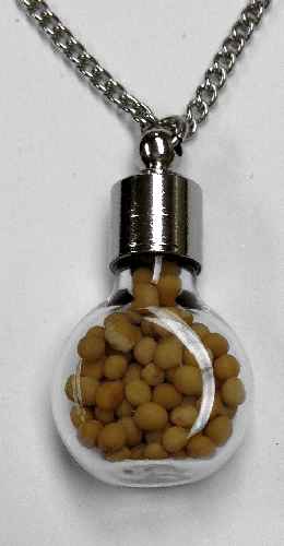 Faith Mustard Seed Necklace Bottle Shaped