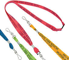 Vacation Bible School Lanyard